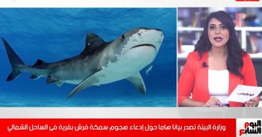 البيئة توضح حقيقة هجوم سمكة قرش على مواطن فى قرية بالساحل الشمالي.. فيديو
