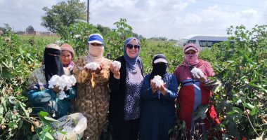 فيديو.. إكسترا نيوز تعرض تقريرا حول بدء موسم جنى القطن