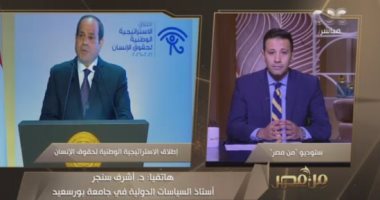 أستاذ سياسات دولية: إشادات واسعة بالاستراتيجية الوطنية لحقوق الإنسان