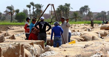 المزاد العلنى لتسويق القطن بالفيوم بحضور المحافظ والفلاحين والتجار.. لايف