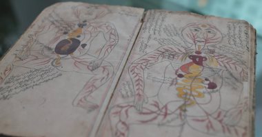 مخطوطة إسلامية نادرة تحتوى على أول رسم تشريحى لجسم الإنسان.. فيديو وصور