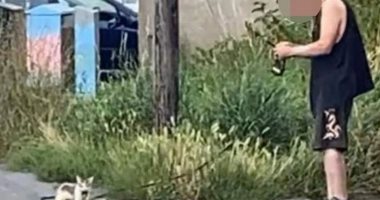 بريطاني يعيش مع 50 قطة شارع والجيران يحتجون: "ظروف معيشتهم سيئة" .. صور