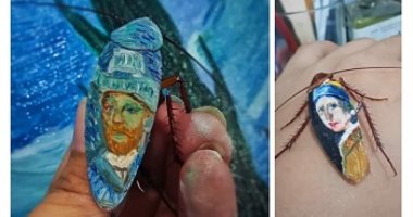  الفنون جنون .. دنيا ترسم لوحات فان جوخ على ظهر صراصير حقيقية