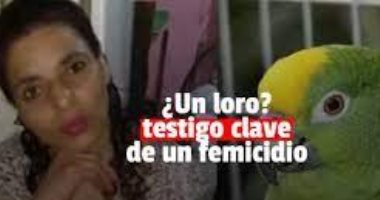 امرأة أرجنتينية تتعرض للاغتصاب والقتل.. وببغاء يكشف خيوط الجريمة