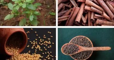 استخدم هذه التوابل للتحكم فى مستويات الكوليسترول والسكرى