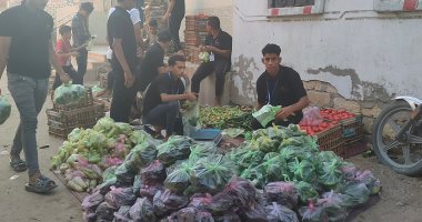 جدعنة المصريين.. شباب قرية بالشرقية يتكفلون باحتياجات الخضروات لـ 120 أسرة