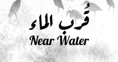 افتتاح معرض "قرب الماء" للفنان التشكيلى عبد الوهاب عبدالمحسن.. اليوم 
