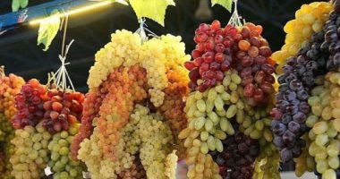 سحورك صحى فى رمضان .. تناول العنب للحصول على فوائده