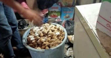 صحة دمياط: ضبط 12 منشأة غذائية بدون ترخيص وإعدام 200 كيلو أغذية غير صالحة
