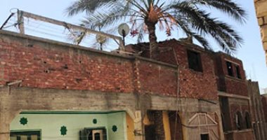 عجائب وغرائب المصريين.. منزل مبنى حول نخلة بالدقهلية.. صاحبه: النخلة من رائحة والدى وحافظت عليها واحتضنتها بمنزلى.. ويؤكد: النخلة عندى أهم من البيت ومحدش يقدر على ثمنها.. صور وفيديو