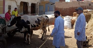 تنظيم قوافل سكانية وطبية بأبو حمص وأبو المطامير بالبحيرة ضمن "حياة كريمة"