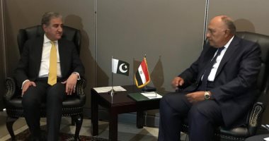 سامح شكرى يبحث مع نظيره الباكستانى القضايا الدولية محل الاهتمام المشترك
