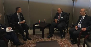 وزير الخارجية يبحث مع نظيره الإيطالى العلاقات الثنائية والقضايا الإقليمية