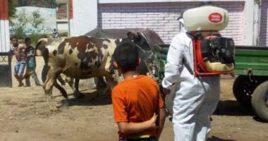 حياة كريمة بالشرقية.. تنظيم قافلة طبية مجانية بقرى الحسينية