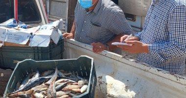 حملات تفتيشية بالمنوفية تسفر عن ضبط لحوم وأسماك ومواد غذائية غير صالحة.. صور