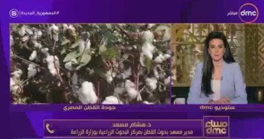 مدير معهد بحوث القطن: متوقع زيادة مساحة زراعة القطن الموسم المقبل