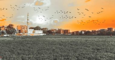 "أشرف" يشارك "صحافة المواطن" صور لجمال مصر