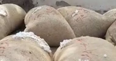 مراحل تجميع وفرز الذهب الأبيض بمحالج الشرقية.. رئيس هيئة تحكيم القطن: دورنا محايد لفرز الأقطان قبل طرحها بالمزاد.. منظومة التسويق الجديدة قضت على دور الوسيط بين الفلاح والشركات.. والسعر تخطى 4500 جنيه.. فيديو