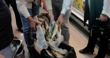 ضبط ربع طن مواد غذائية فاسدة فى حملات تفتيشية بديرب نجم بالشرقية.. صور