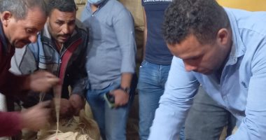 ضبط أسماك فاسدة ومنظفات بدون سجل ورفع 1282 حالة إشغال بالبحيرة 