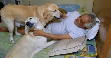 توفيق عبد الحميد يكشف حقيقة صوره مع الكلاب على مواقع التواصل الاجتماعى.. فيديو