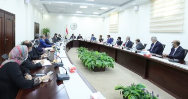 وزير التعليم العالى يتابع تقييم تجربة أفرع الجامعات الأجنبية