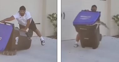 رجل يصطاد تمساحا بسلة مهملات فى أمريكا لينقذ عائلته من الموت.. فيديو 