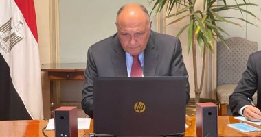 رسالة خطية من الرئيس السيسى إلى نظيره الروسى يسلمها سامح شكرى