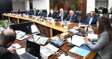 وزيرة التخطيط والتنمية الاقتصادية تلتقي أعضاء غرفة التجارة الأمريكية 