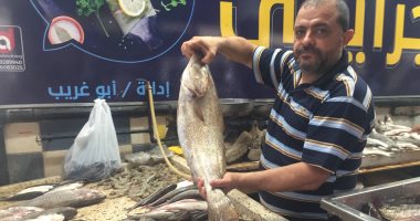الجمبرى بـ70 والدنيس واللوت بـ90 والشبار بـ 20.. جولة داخل سوق الأسماك بالإسماعيلية.. لايف