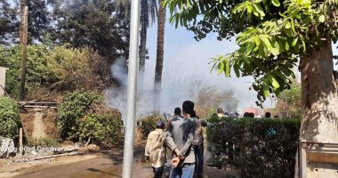 الحماية المدنية بالقليوبية تسيطر على حريق بأشجار تابعة لوزارة الزراعة بالقناطر