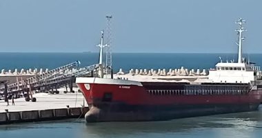 تصدير 3400 طن ملح إلى لبنان عبر ميناء العريش