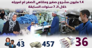 معلومات الوزراء: تمويل أكثر من 1.4 مليون مشروع صغير ومتناهى الصغر فى 7 سنوات