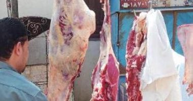 ضبط 290 طن مواد كيماوية مجهولة ومنتهية الصلاحية ولحوم فاسدة بالشرقية