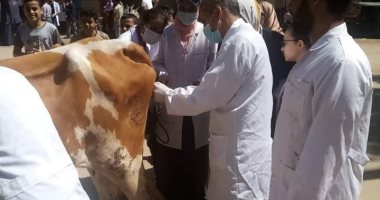 جامعة سوهاج تواصل سلسلة قوافلها البيطرية المجانية وتنطلق لقرية الشيخ مرزوق..  صور