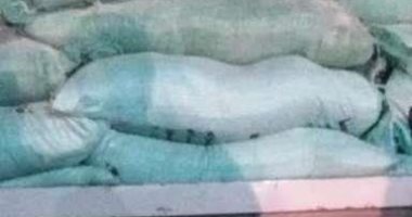 ضبط 7 أطنان دقيق مدعم قبل تهريبهم وبيعهم فى السوق السوداء بالشرقية
