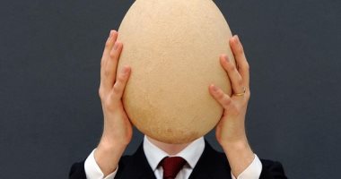 اليوم العالمى للبيض.. أغلى أنواعه فى العالم يصل سعره لأكثر من مليون يورو
