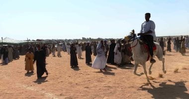 "مرماح الخيول" سباقات تحدى وفروسية يحافظ عليها أبناء القبائل بأسوان.. فيديو