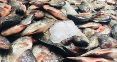 الجمبري بـ60 والبورى بـ35 والشبار بـ20.. جولة في سوق أسماك الإسماعيلية.. لايف وصور