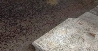 سقوط أمطار خفيفة ونشاط للرياح بمدينتي طنطا وزفتى فى الغربية.. صور