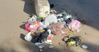 شكوى من عدم تواجد صناديق لجمع القمامة فى صان الحجر بالشرقية.. والمحافظة ترد