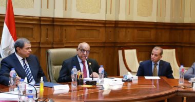 وزير القوى العاملة بمجلس الشيوخ: قانون العمل الجديد راعى حقوق السيدات العاملات
