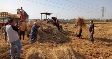 رئيس "شئون البيئة" يتفقد منظومة مكافحة الحرق المكشوف للمخلفات الزراعية بالشرقية