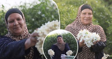 "قرية بلولة" مملكة الياسمين فى مصر.. "اليوم السابع" تعايش وترصد حصاد النبات الفواح.. 8000 نسمة من سكان القرية يعملون بالزهرة العطرة.. والنساء يتفوقن على الرجال في الجمع والتوريد للمصانع.. وهذا سر زراعته بالقرية