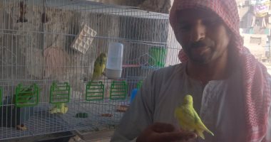مدرب فنون قتالية وصديق طيور الزينة.. الطواب تاجر تحف يشارك فى تجميل قنا (لايف )