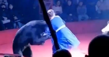 دب ضخم يهاجم سيدة حامل ويطرحها أرضا خلال عرض فى سيرك روسى.. فيديو وصور