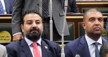 "النواب" يوافق على تخصيص 7133 سهما جديدا من أسهم بنك التنمية الأفريقى لمصر  