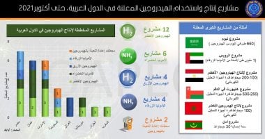 من بينها مصر.. "أوابك": 28 مشروعا معلنا لإنتاج الهيدروجين بالمنطقة العربية