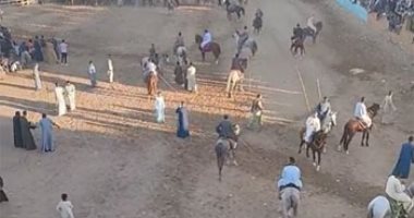 جايلك يا سيدنا النبى بالخيل وبالناقة.. مرماح واحتفالات فى ذكرى المولد النبوى بالأقصر