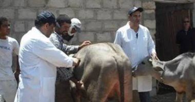تسجيل 249 رأس ماشية والتأمين على 1440 ضمن خطة البحيرة لتنمية الثروة الحيوانية